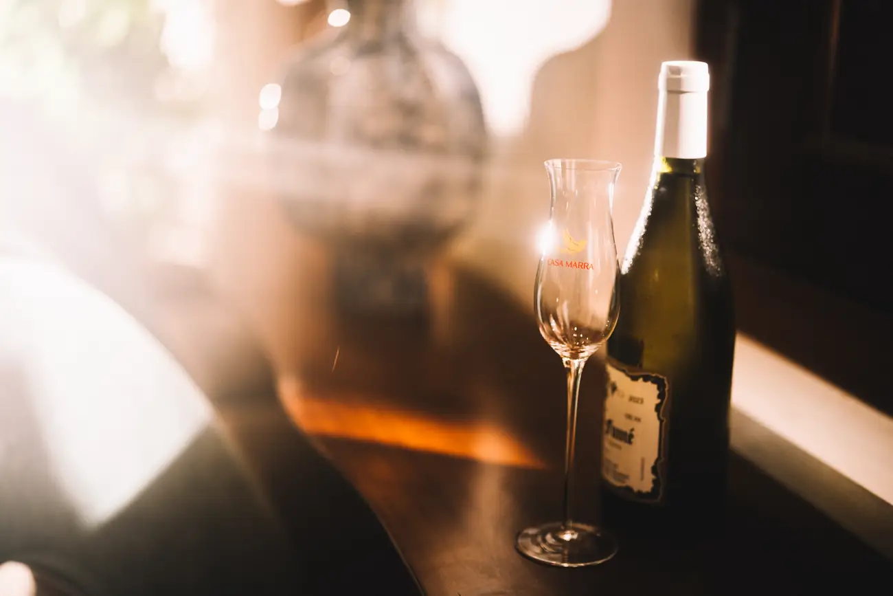 A glass of white wine in late light at the members' bar